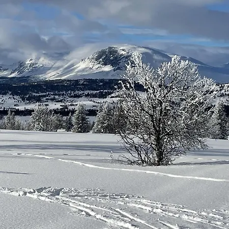 - New Modern With Fantastic View Holiday home *