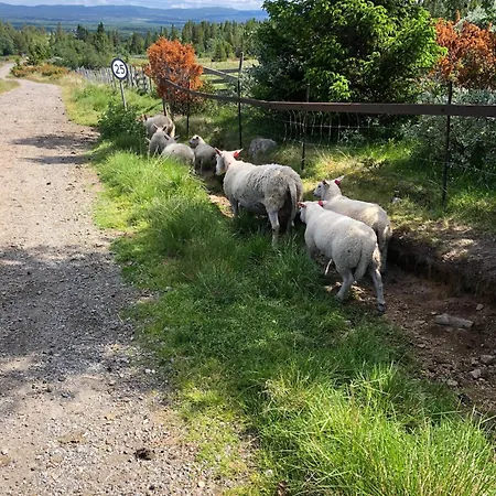 Holiday home - New Modern With Fantastic View *