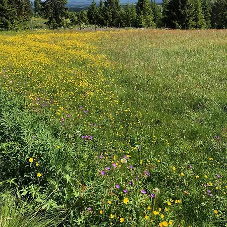 - New Modern With Fantastic View