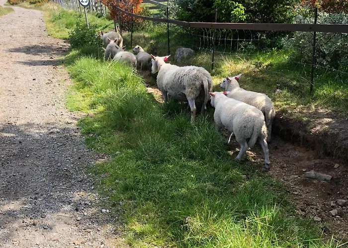 Semesterbostad - New Modern With Fantastic View *